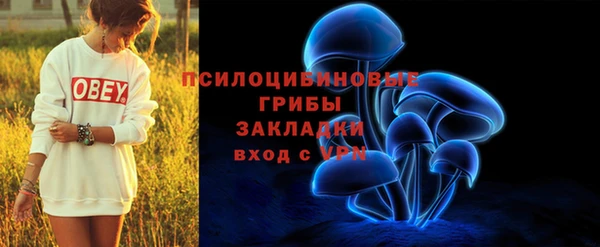 мескалин Богданович