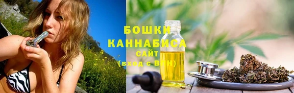 мяу мяу мука Белокуриха