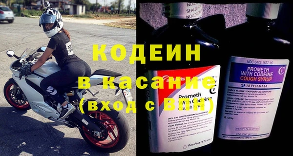 стаф Богородск