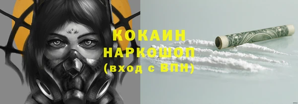 мяу мяу мука Белокуриха