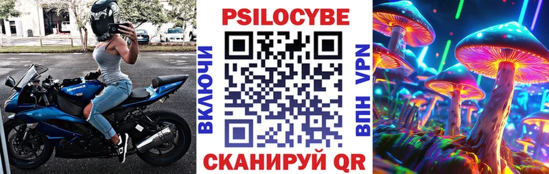 где продают наркотики  shop Telegram  Псилоцибиновые грибы мицелий  Мариинский Посад 
